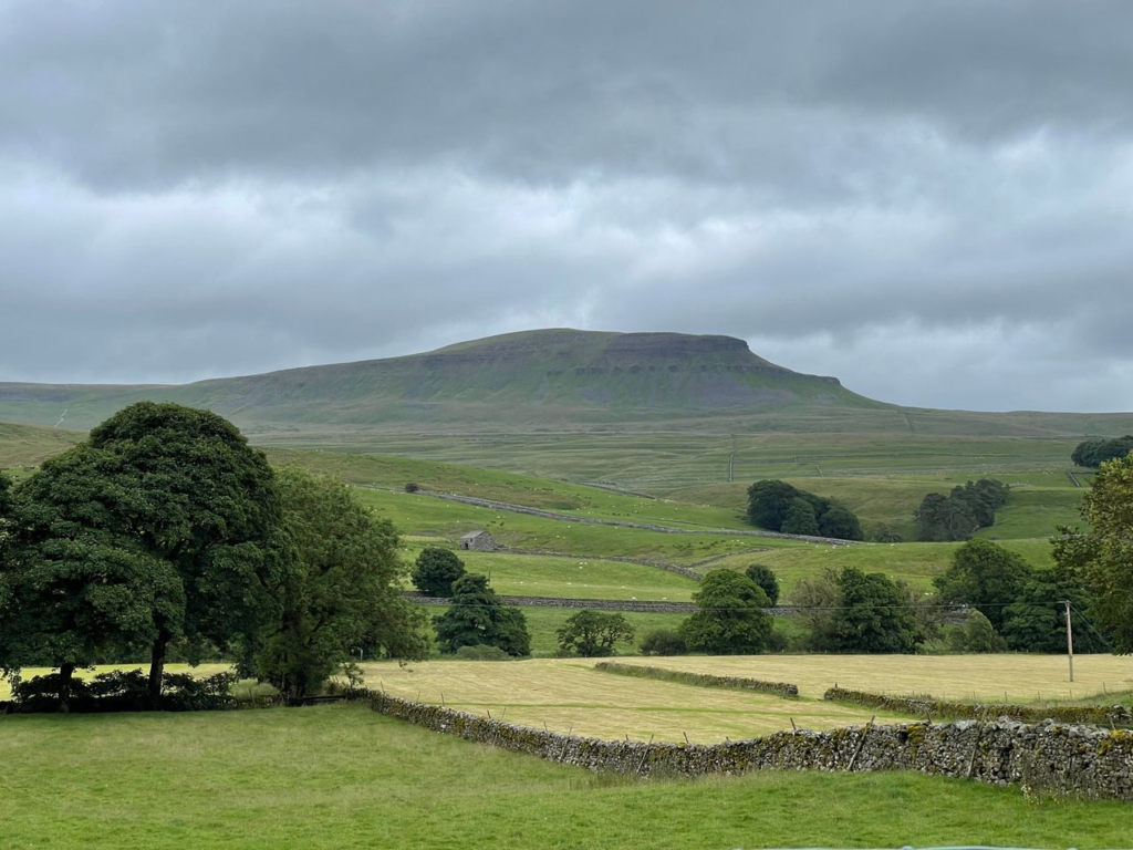 Scenic view of Whernside in Yorkshire Dales, lush green fields and stone walls under cloudy skies.